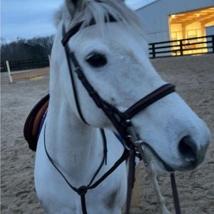 Meet your Posher, Bob